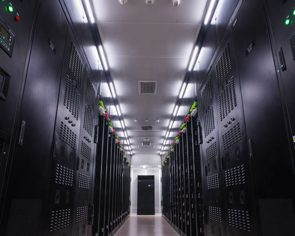 Real User Feedback And Reviews Of Vultr Japan Speed ​​cn2